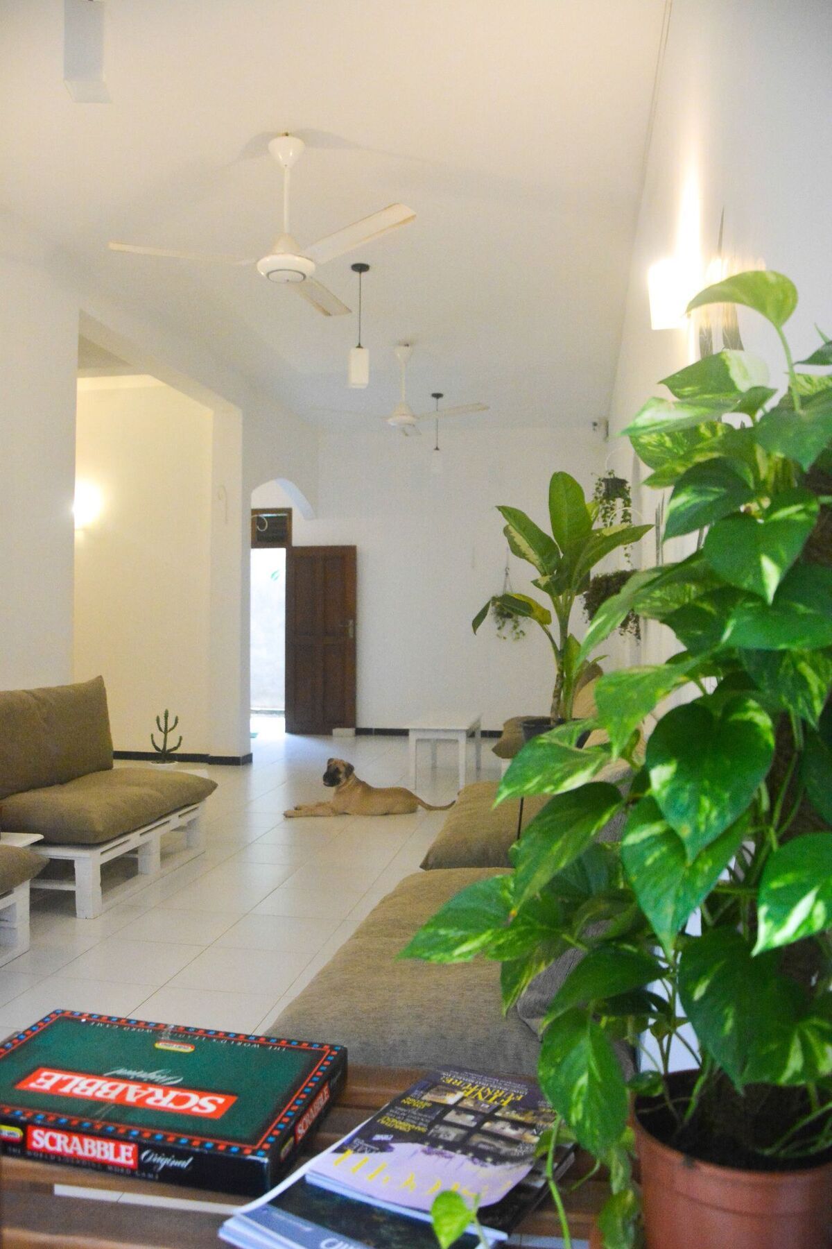 Bed & Bicycle Hostel Dehiwala-Mount Lavinia ภายนอก รูปภาพ